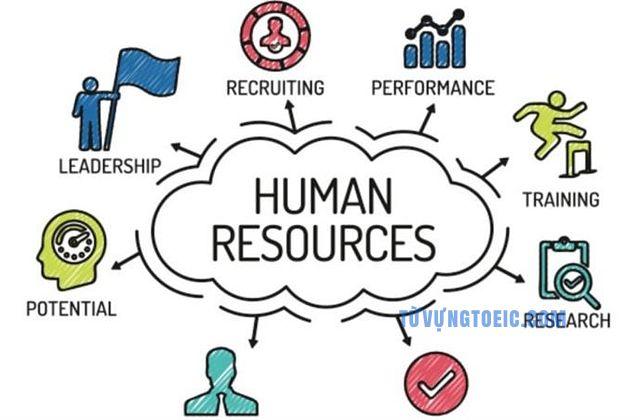 Human Resources department